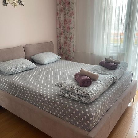 Apartment Elefant 021 Νόβι Σαντ Εξωτερικό φωτογραφία