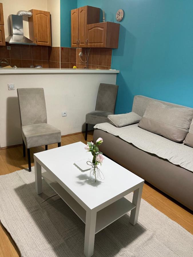 Apartment Elefant 021 Νόβι Σαντ Εξωτερικό φωτογραφία