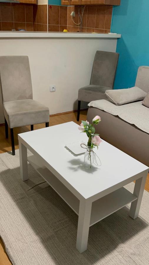 Apartment Elefant 021 Νόβι Σαντ Εξωτερικό φωτογραφία