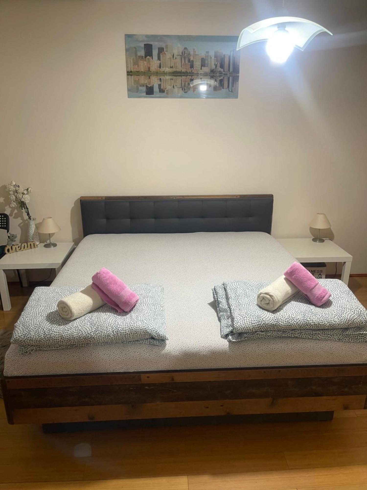 Apartment Elefant 021 Νόβι Σαντ Εξωτερικό φωτογραφία